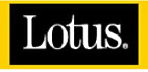 Lotus logo in black and yellow designed for a startup mentor.